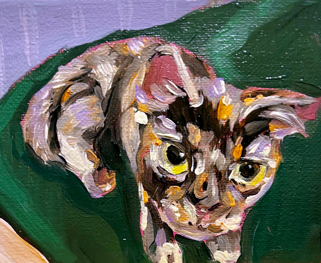 jynx