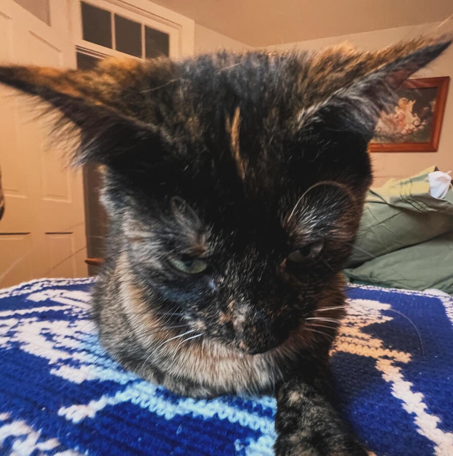 Untitled Untitled